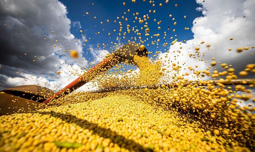  Produção de grãos atinge recorde e tem alta de 18,4% em 2022/2023