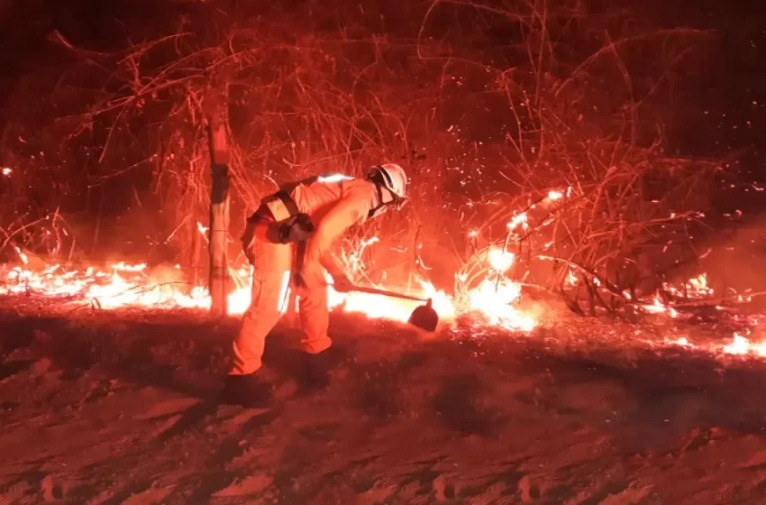  Incêndios florestais na Bahia: Fogo segue ativo em 21 cidades do interior