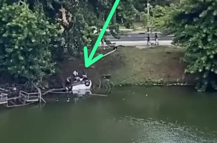  Salvador: Motorista perde controle e cai no Dique do Tororó