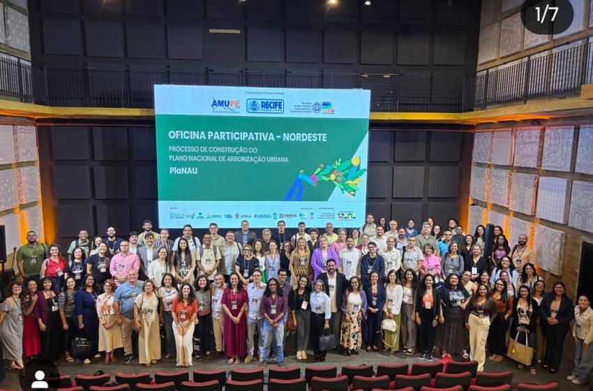  Camaçari participa de oficina regional para construção do Plano Nacional de Arborização Urbana