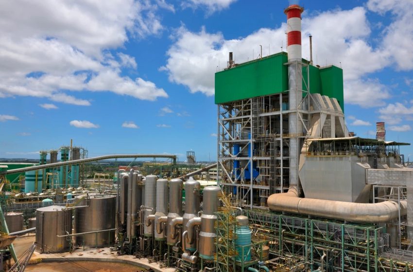  Bracell abre vagas de emprego e estágio em Camaçari e amplia banco de talentos