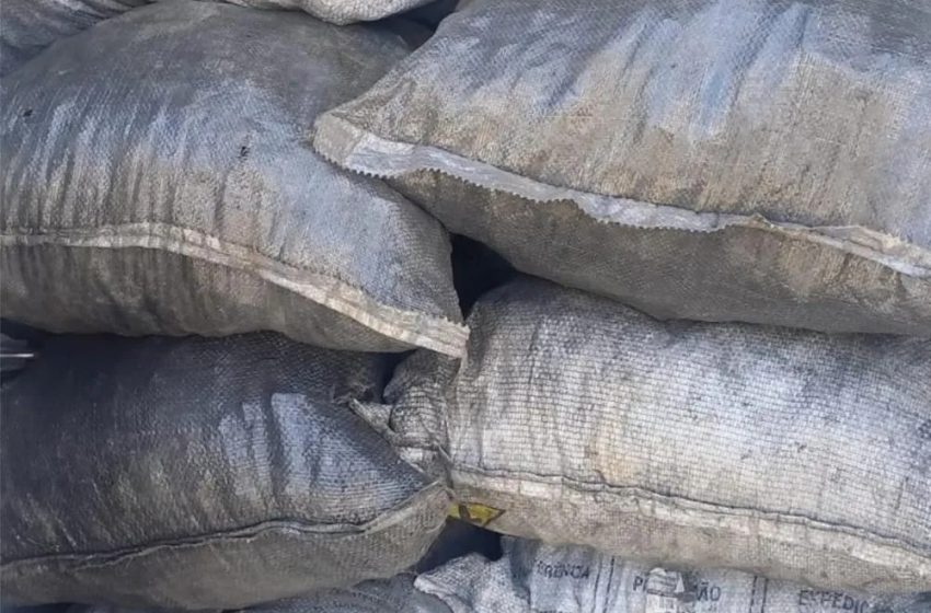  Polícia Ambiental apreende uma tonelada de carvão ilegal em Dias d’Ávila
